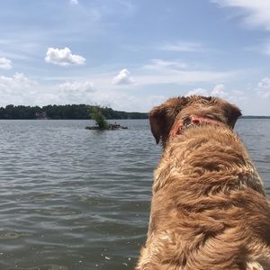 Meet your Posher, Matthew